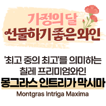 인트리가 막시마